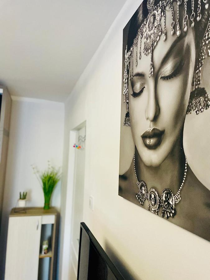 S&S Apartment Studio At Ground Floor Timisoara Town !!! Parcare La Locatie !! Ngoại thất bức ảnh