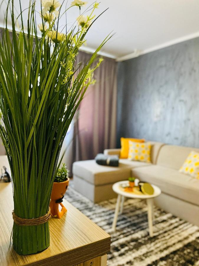S&S Apartment Studio At Ground Floor Timisoara Town !!! Parcare La Locatie !! Ngoại thất bức ảnh
