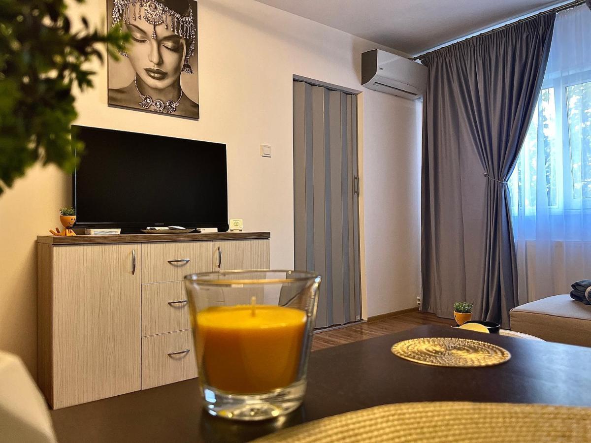 S&S Apartment Studio At Ground Floor Timisoara Town !!! Parcare La Locatie !! Ngoại thất bức ảnh