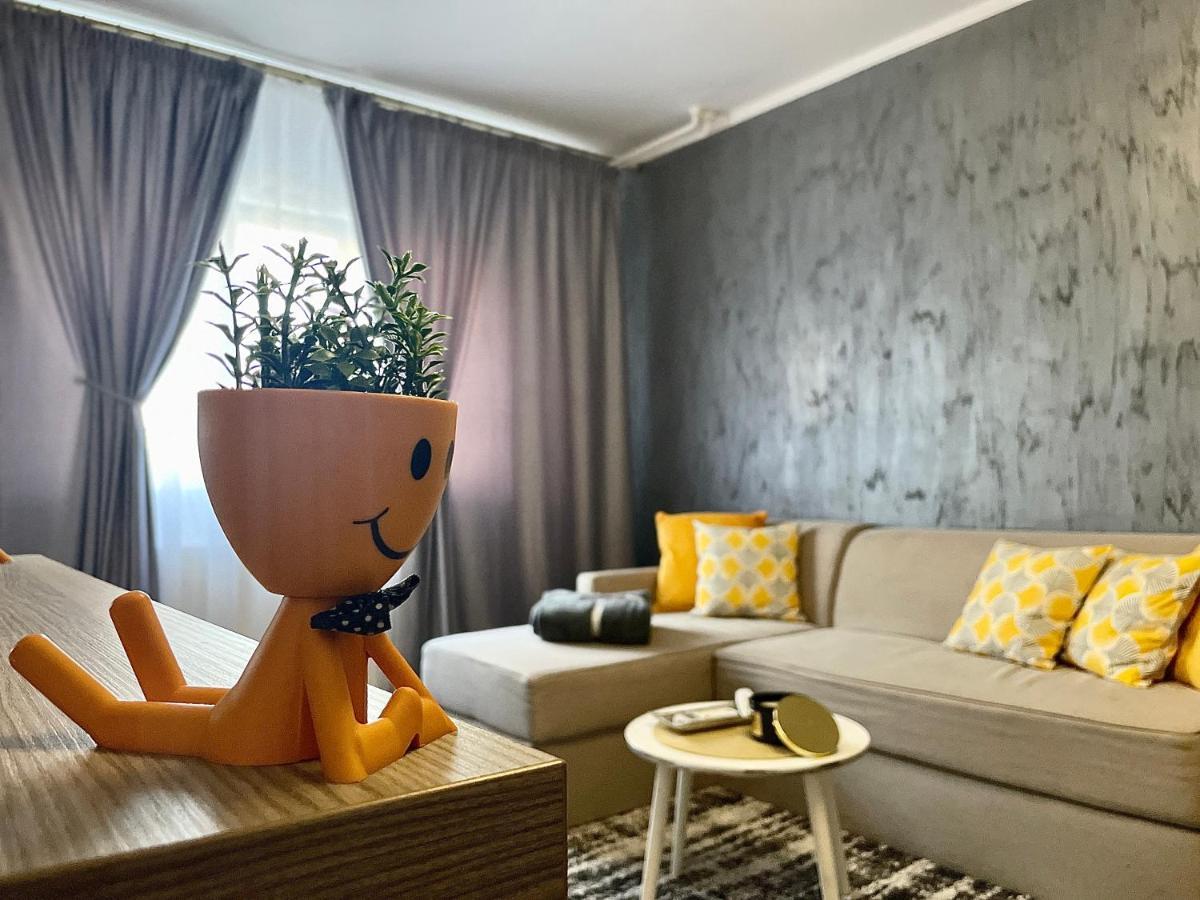 S&S Apartment Studio At Ground Floor Timisoara Town !!! Parcare La Locatie !! Ngoại thất bức ảnh