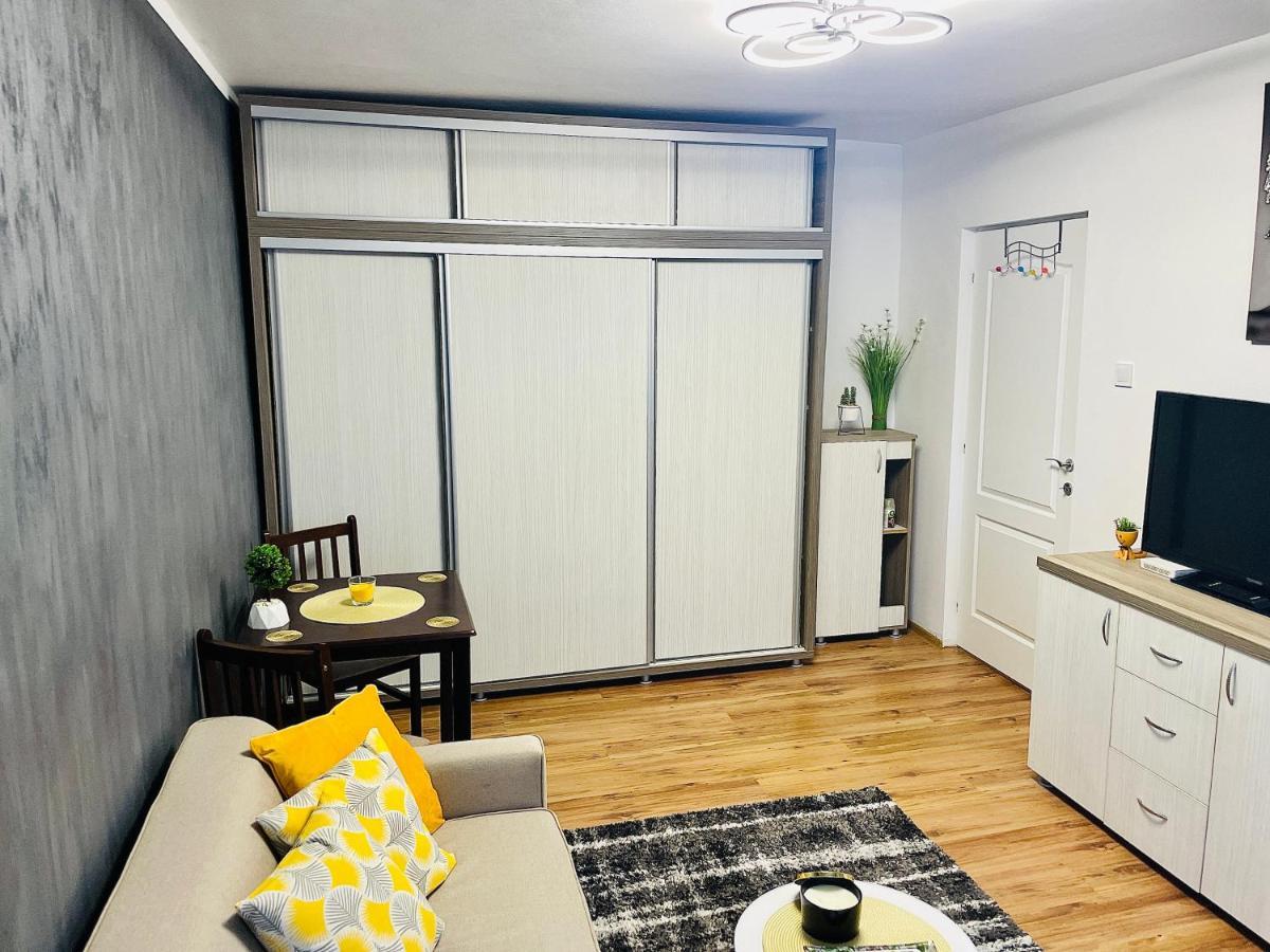 S&S Apartment Studio At Ground Floor Timisoara Town !!! Parcare La Locatie !! Ngoại thất bức ảnh